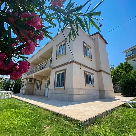 فيلة Turkan كوشاداسيه